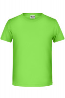 Lime-green (ca. Pantone 360C)